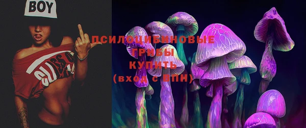 спиды Елизово