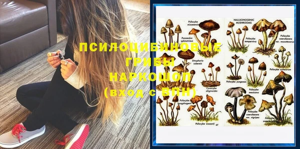 марки lsd Ельня