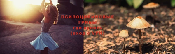 марки lsd Ельня