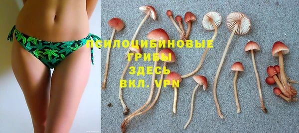 спиды Елизово