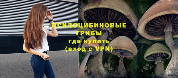спиды Елизово