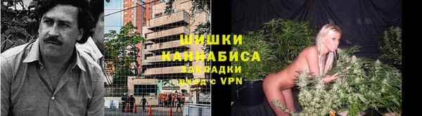 марки lsd Ельня